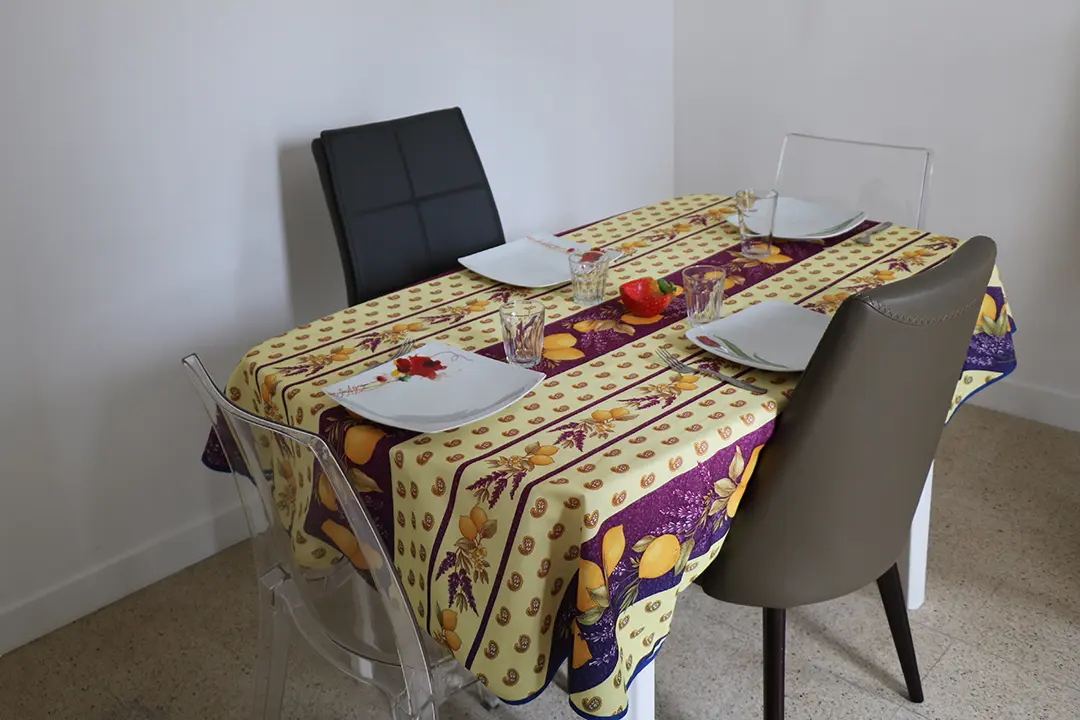 coin salle à manger Gîte le Lido de Sézanne maison avec cour fermée espace extérieur 2 chambres cuisine salle de bain avec douche appartement le roseline confortable moderne accès jardin et extérieur douche cuisine une chambre séparée lit double endroit tranquille Le Lido gîte et logement